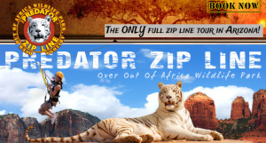 Predator Zip Line