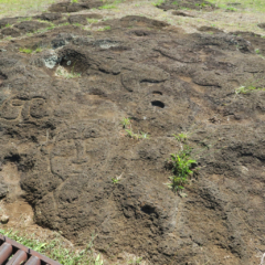 Carvings near Moai Quarry and Tongeriki, Easter Island, Island de Pacua, Chile, South America