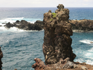 Ana kai Tangata Easter Island, Rapa Nui, Hanga Roa, Isla de Pascua, Chile, South America